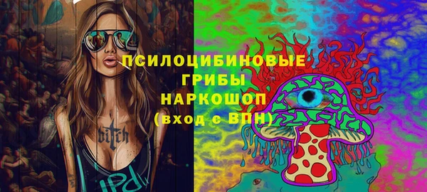 PSILOCYBIN Беломорск