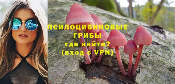 PSILOCYBIN Беломорск
