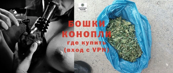 PSILOCYBIN Беломорск