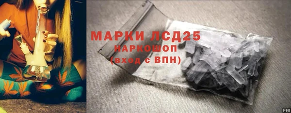 PSILOCYBIN Беломорск